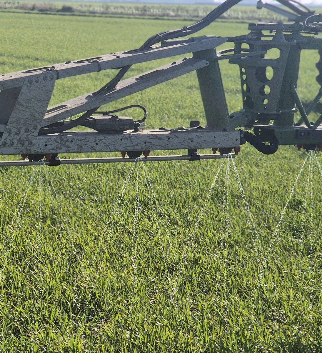 @No1sunkfarmer ©️ tweet media