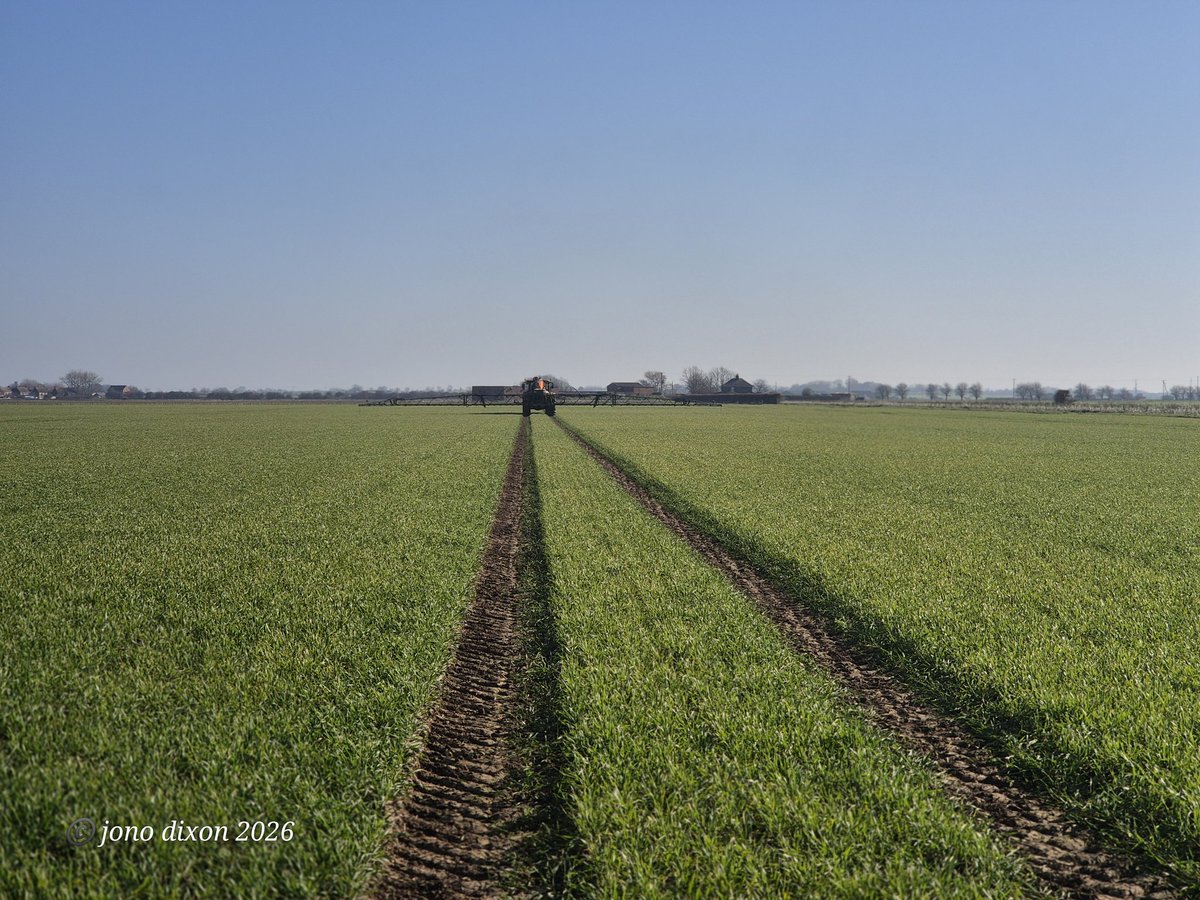 @No1sunkfarmer ©️ tweet media