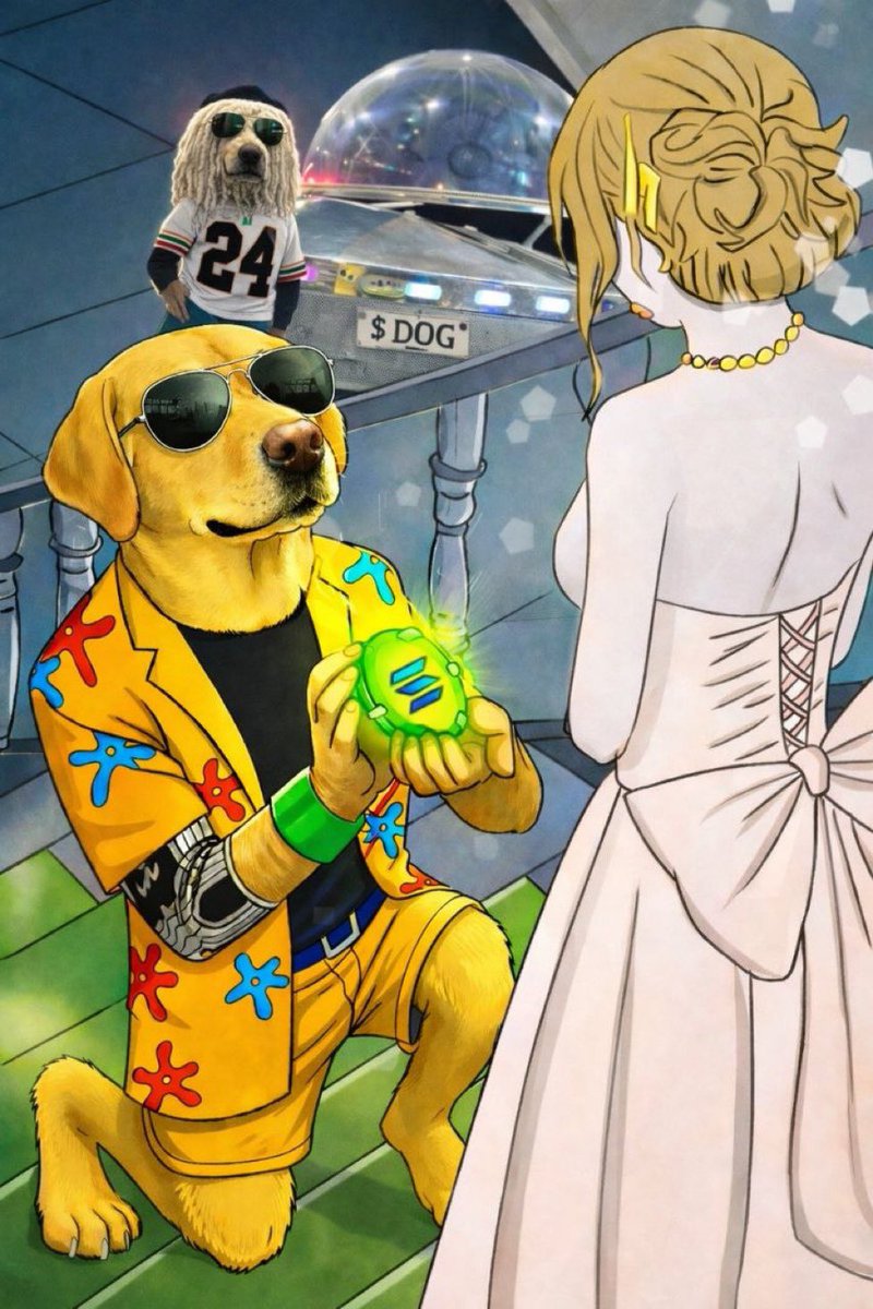 bhaseet ( $DOG ARC) tweet media