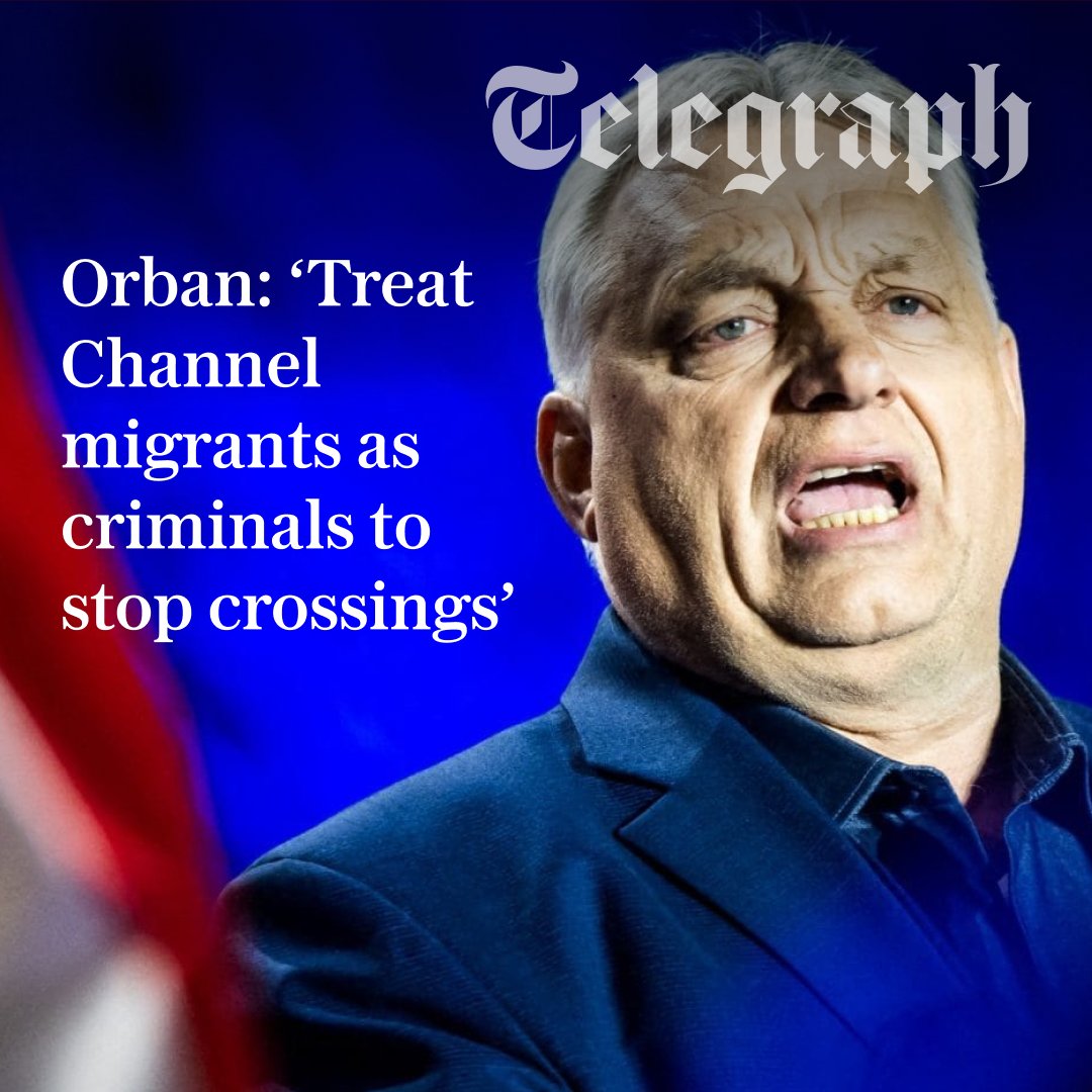 The Telegraph tweet media