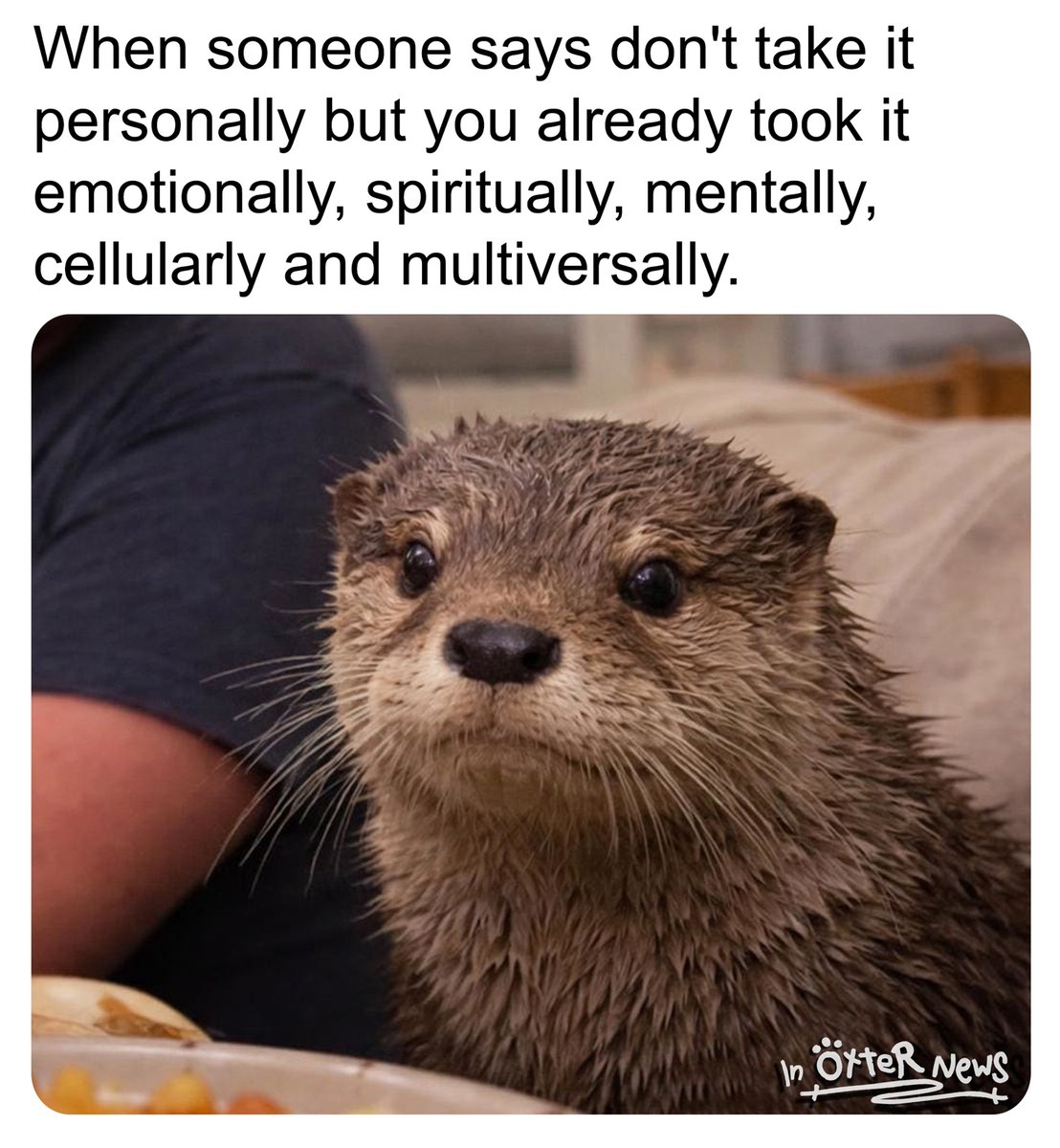 In Otter News.... tweet media