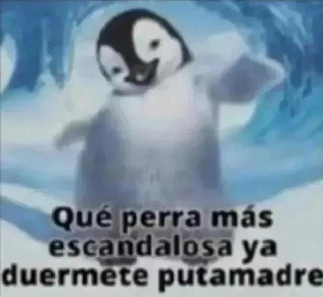 •• 𝐸𝓇𝒽𝒾_𝑅𝒾𝒹𝒹ø𝓈𝒽 ••🔞 tweet media