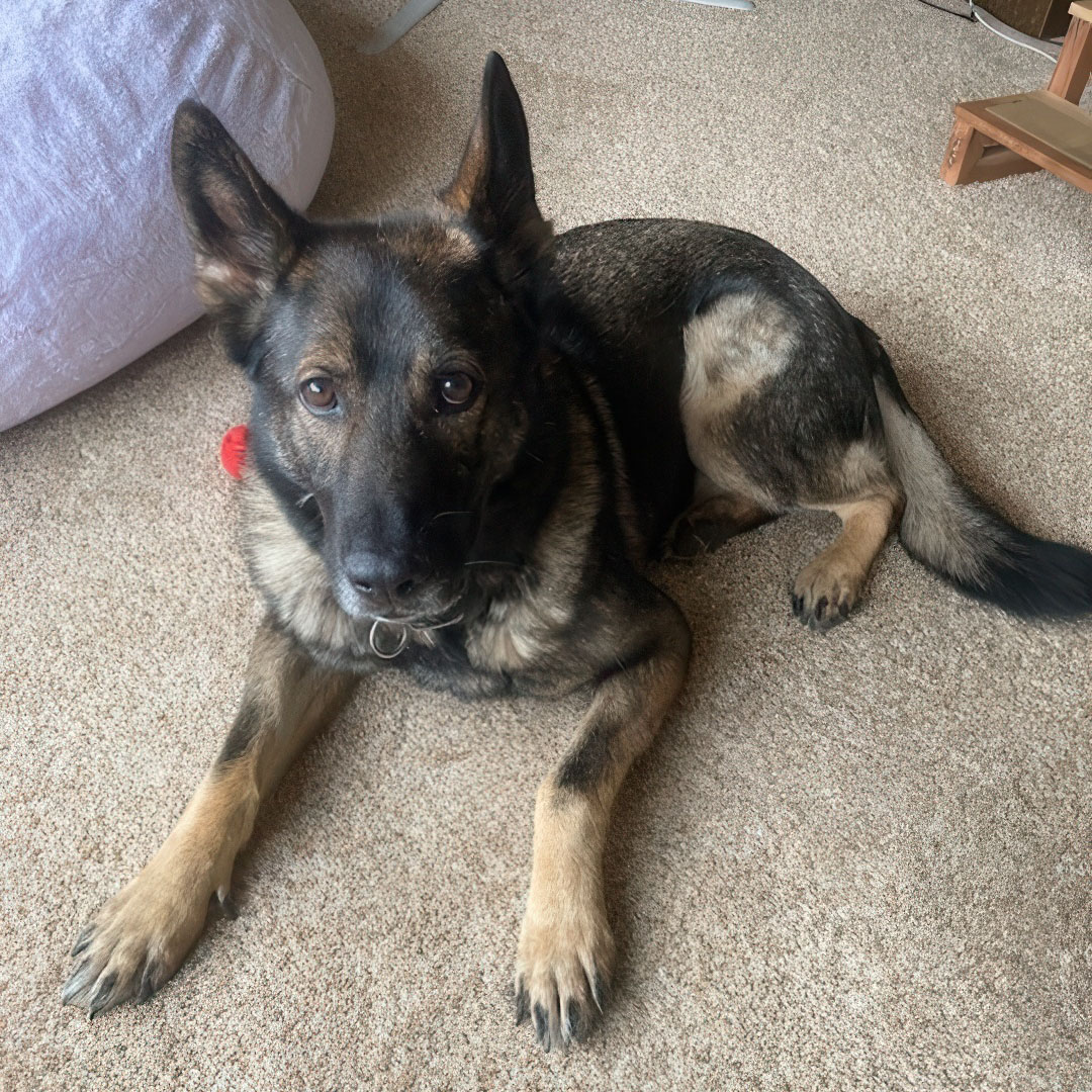 PA State Police tweet media