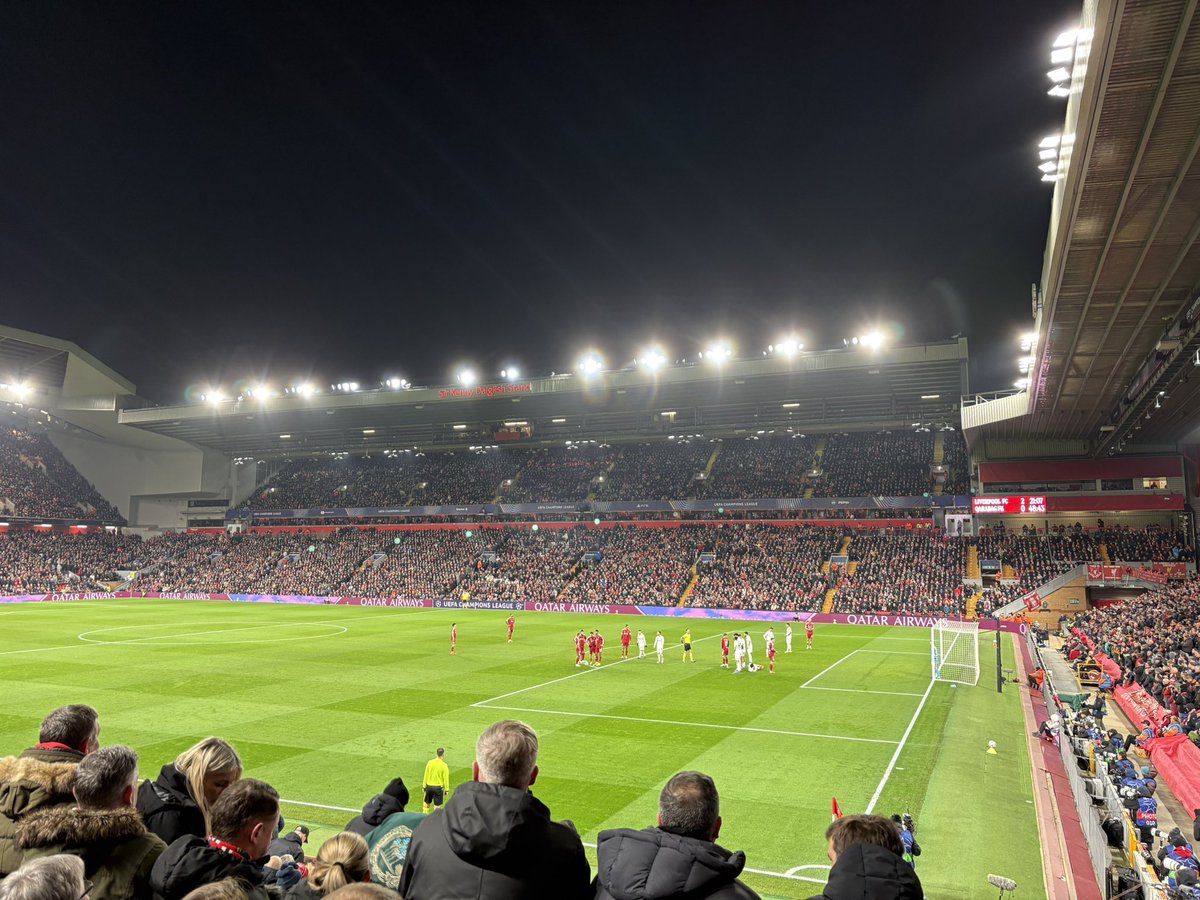 Tyler Brady tweet media