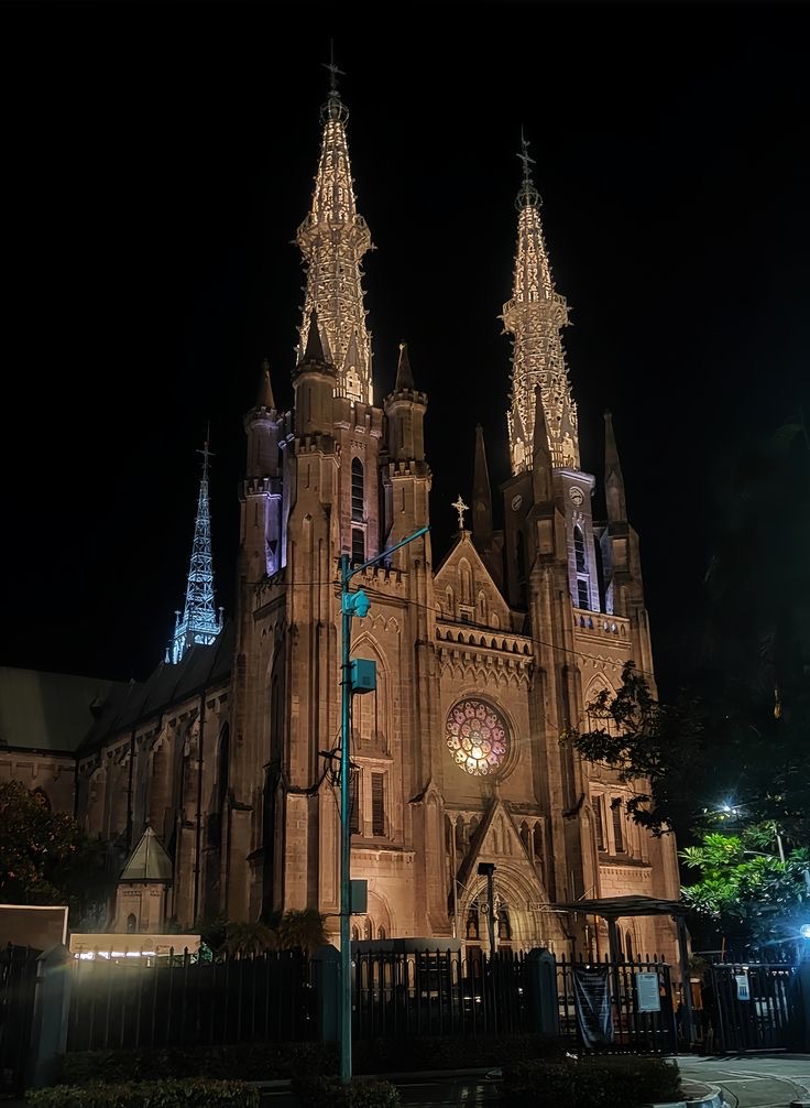 catfood 🇵🇸 #1312 tweet media