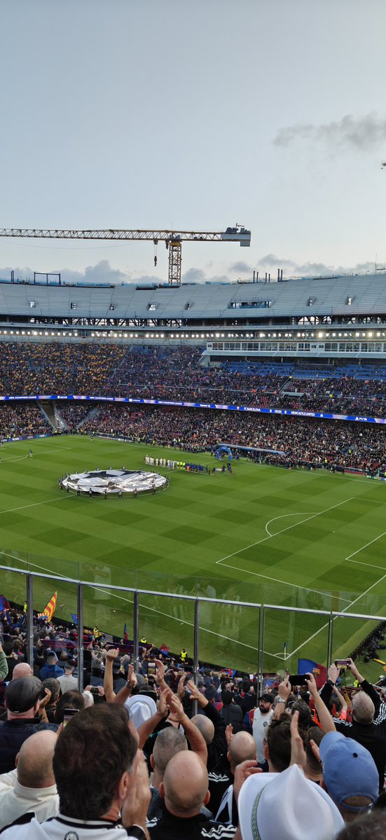 Maximo Beerbelli tweet media