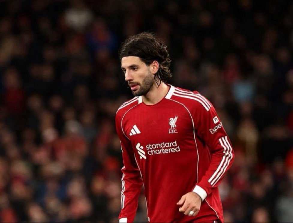 ‘𝑮𝒆𝒓𝒓𝒂𝒓𝒅𝒂𝑯𝒐𝒍𝒊𝒄 tweet media