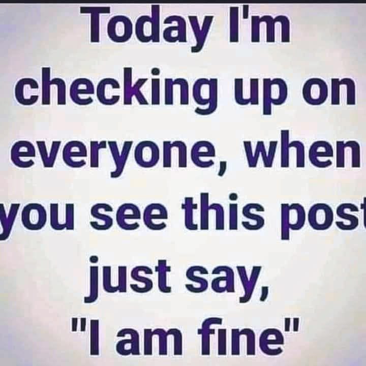 Quienton tweet media