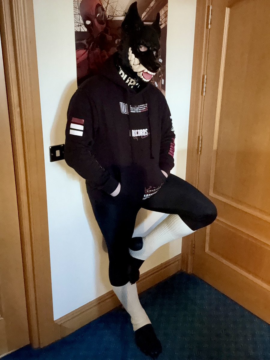 Greyest of ‘em all tweet media