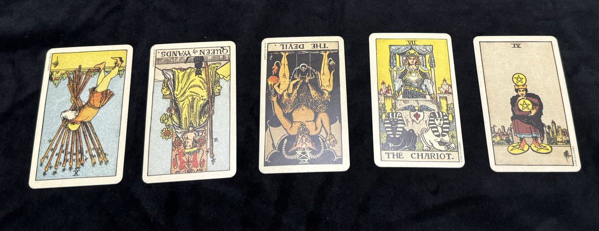 ʢᴗ.ᴗʡᶻ tweet media