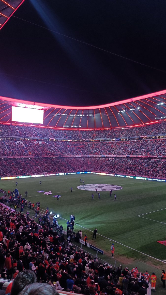 Ivancho ☠🍹🌸🗿 tweet media