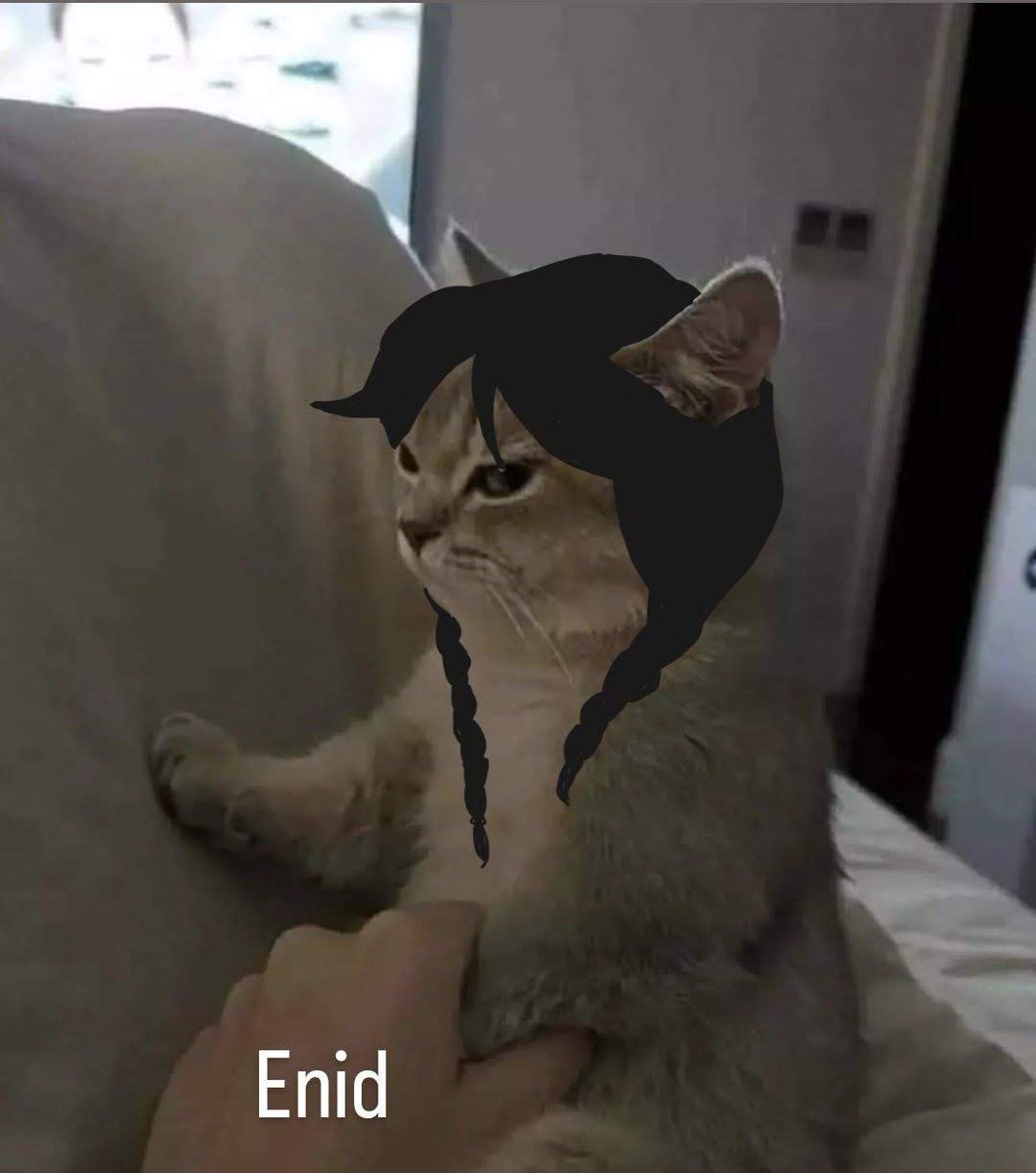 ortegay 🥝🎧 tweet media