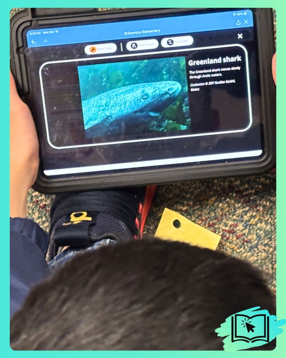 Jordan Porter tweet media