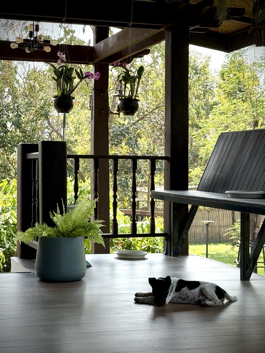 junglefunk tweet media