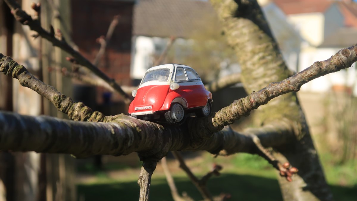 smol car tweet media