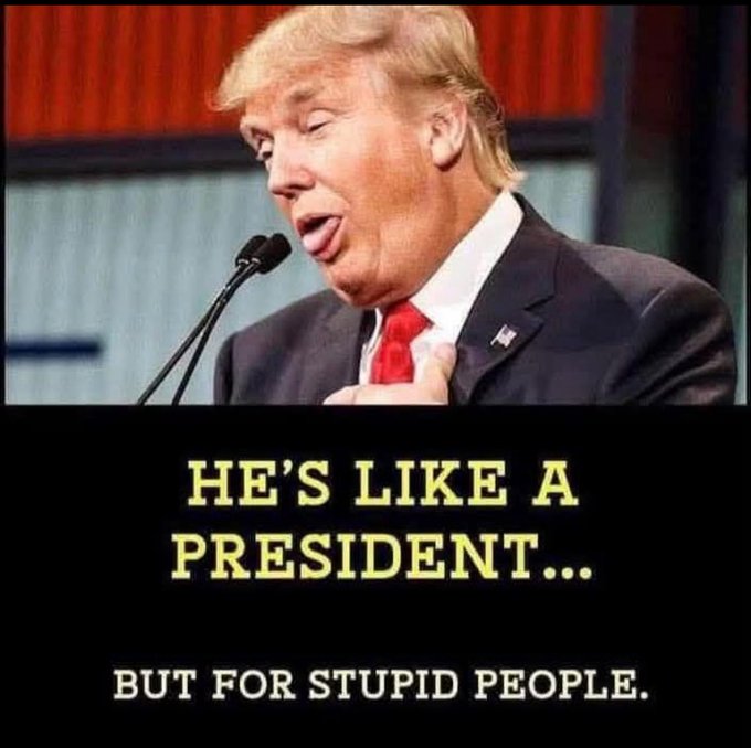 Al Nodrog tweet media