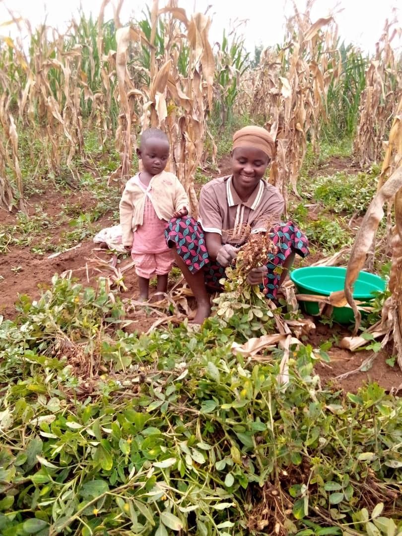 Village Health Works tweet media