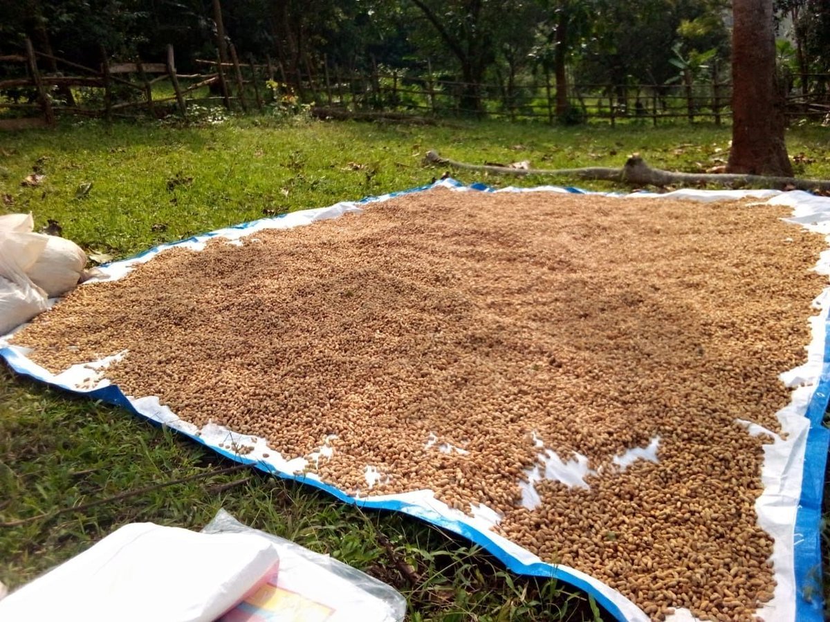 Village Health Works tweet media