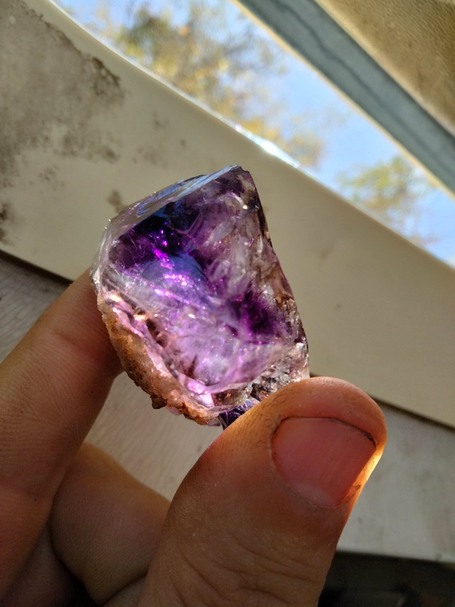 Arvik Mahl tweet media