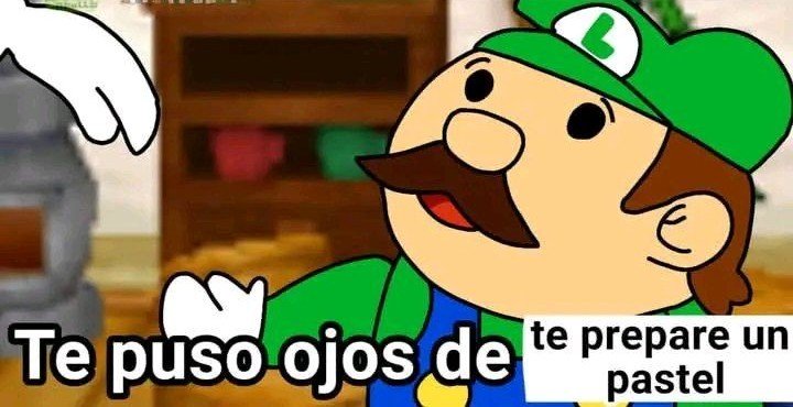 CatSolute tweet media