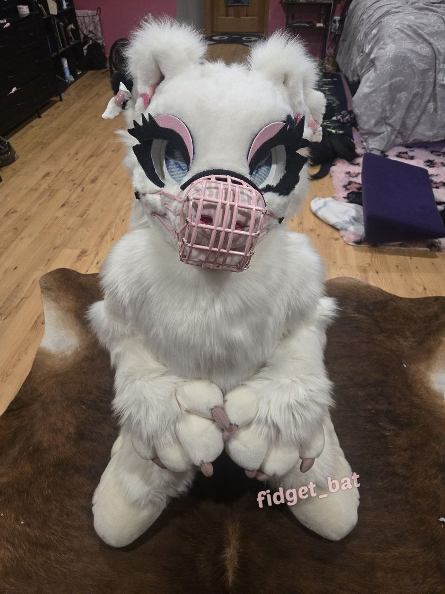 Fidget The Bat🦇 tweet media