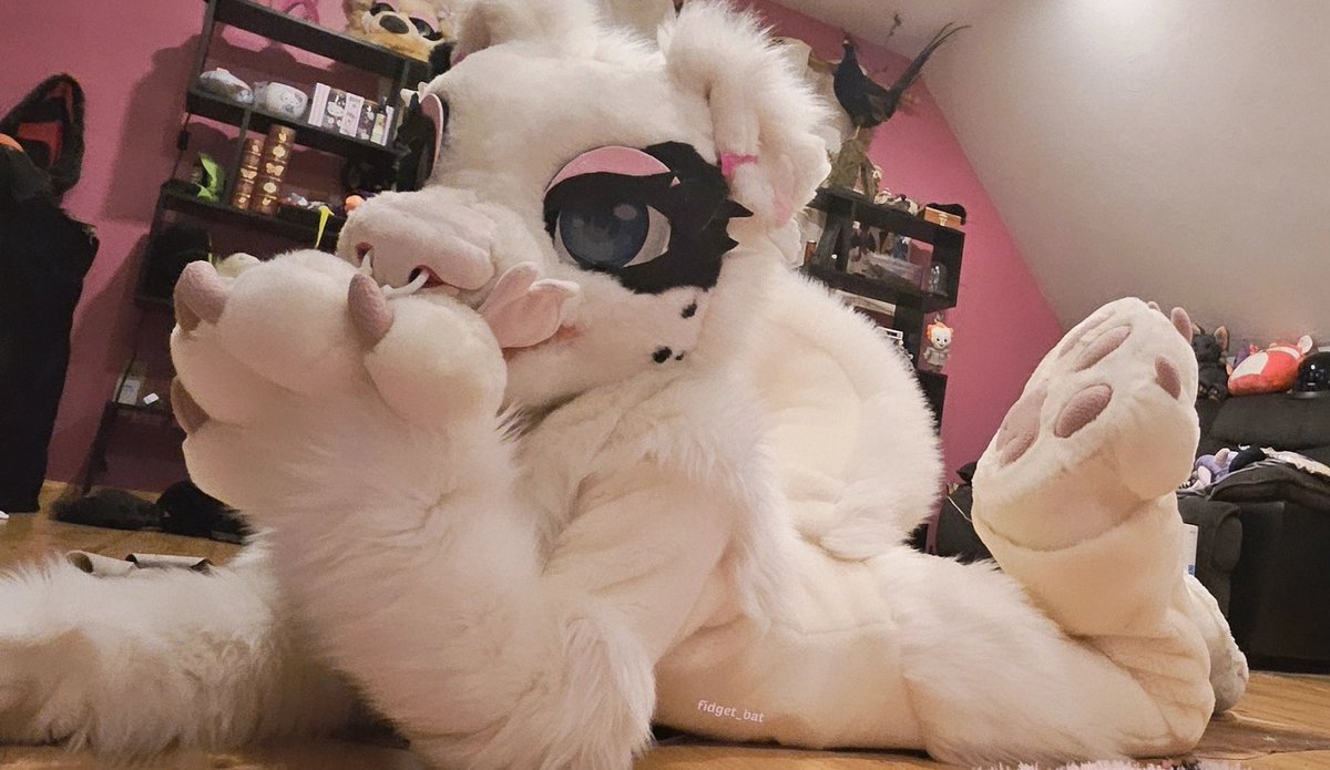 Fidget The Bat🦇 tweet media