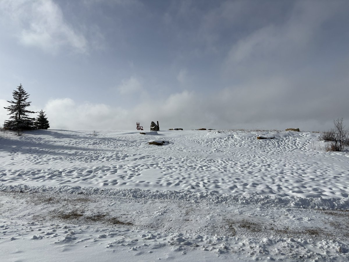 Ann & Sandy Cross Conservation Area tweet media