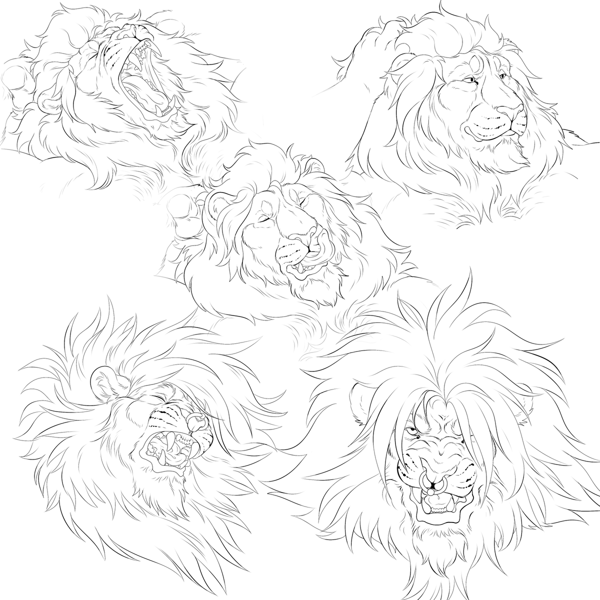 Rhya🌱☕️ tweet media