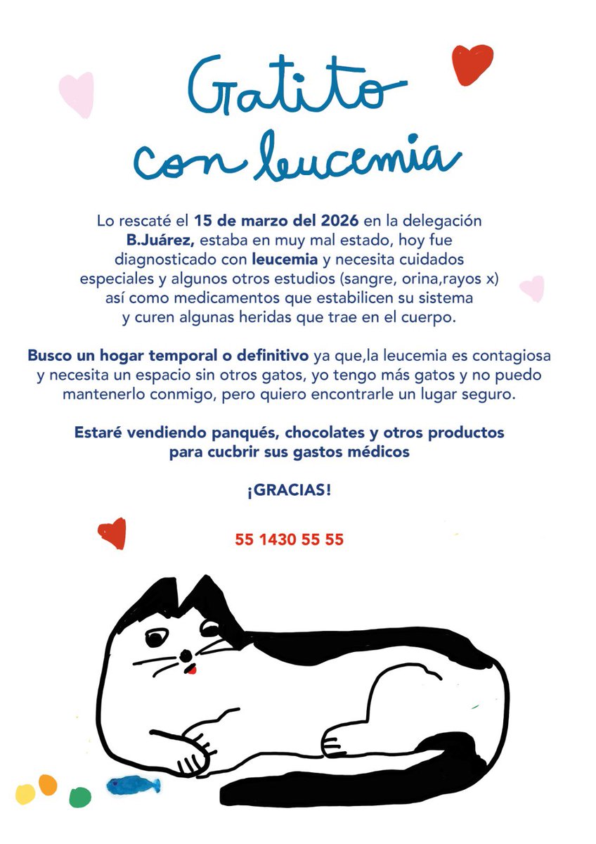 Mascotas Sismo tweet media