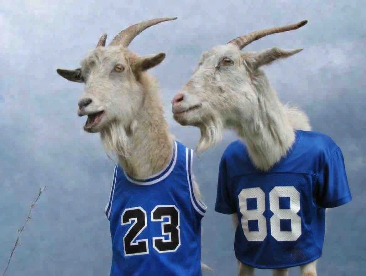 College Football Zone tweet media