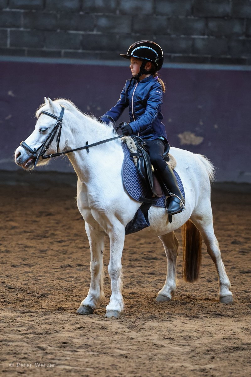 Peter Wetzer 😊 tweet media