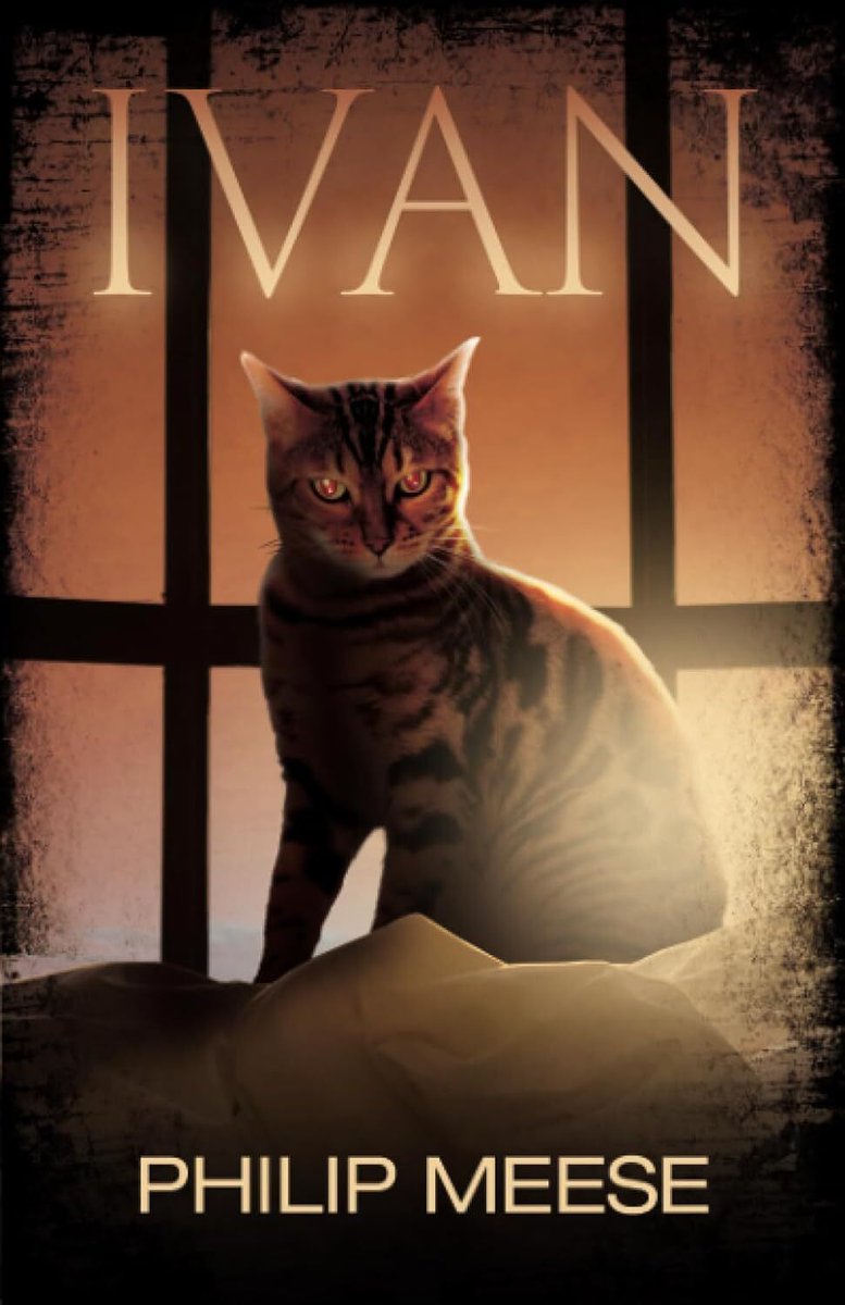 Philip Meese Author tweet media