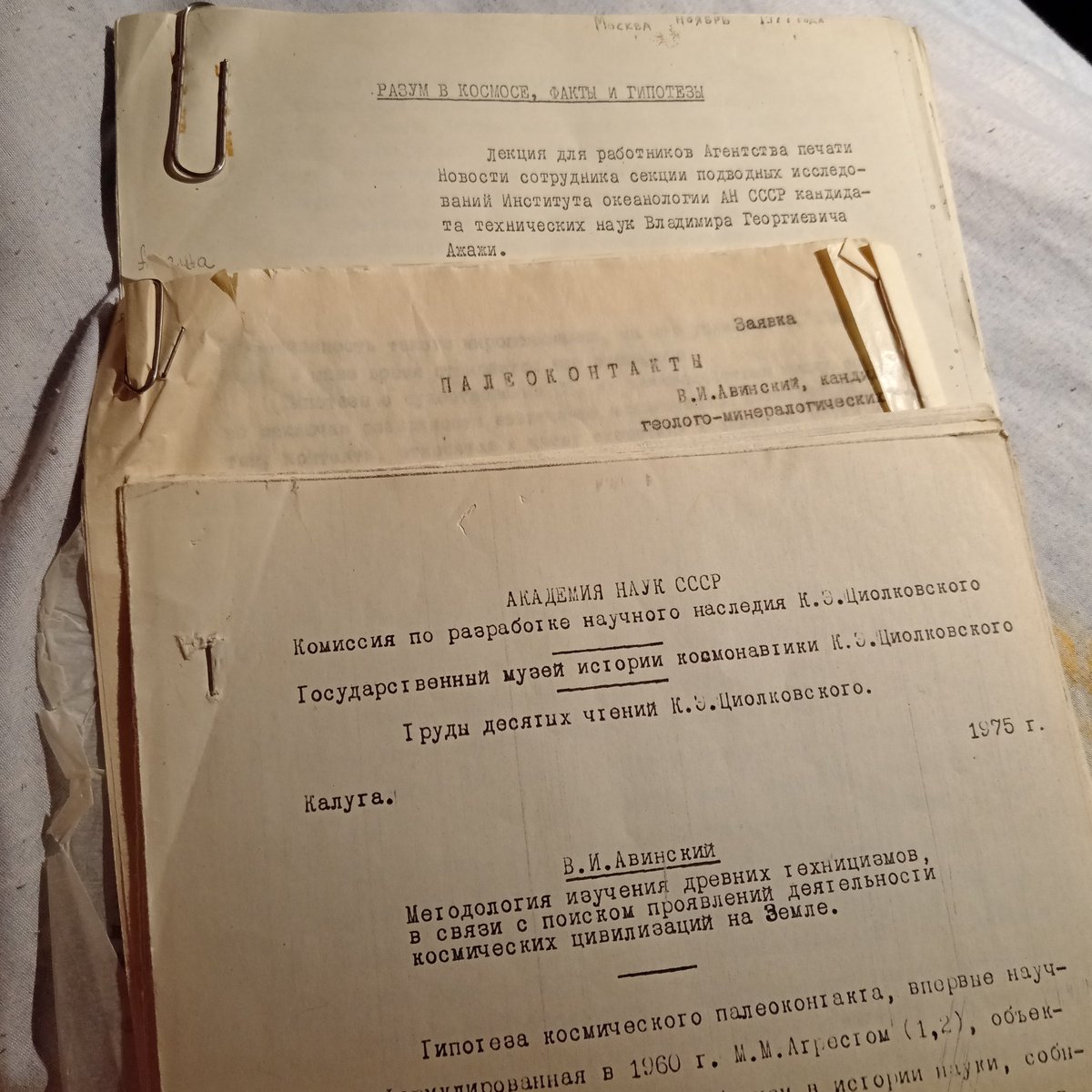 ⭐Выдра в гетрах 🦦⭐ tweet media