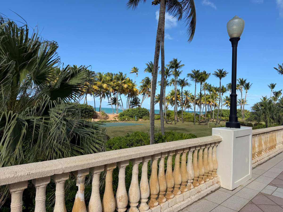 KoelisBx's tweet photo. We are LIVE at the Southeastern Section AUA in Río Grande, Puerto Rico today through Friday. Stop by the booth to meet the team to learn more about our Koelis Trinity® 3D MRI fusion biopsy system!
➡️ Full schedule: https://t.co/EIL7Wri9st https://t.co/2x6CHghuv4