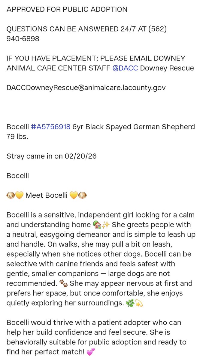 Maple 🐕 🎹 🎸 💙 tweet media