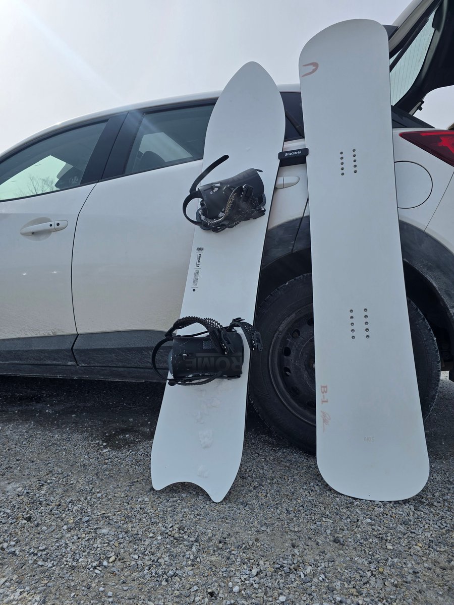 Phox in Socks🏳️‍⚧️❤️ tweet media