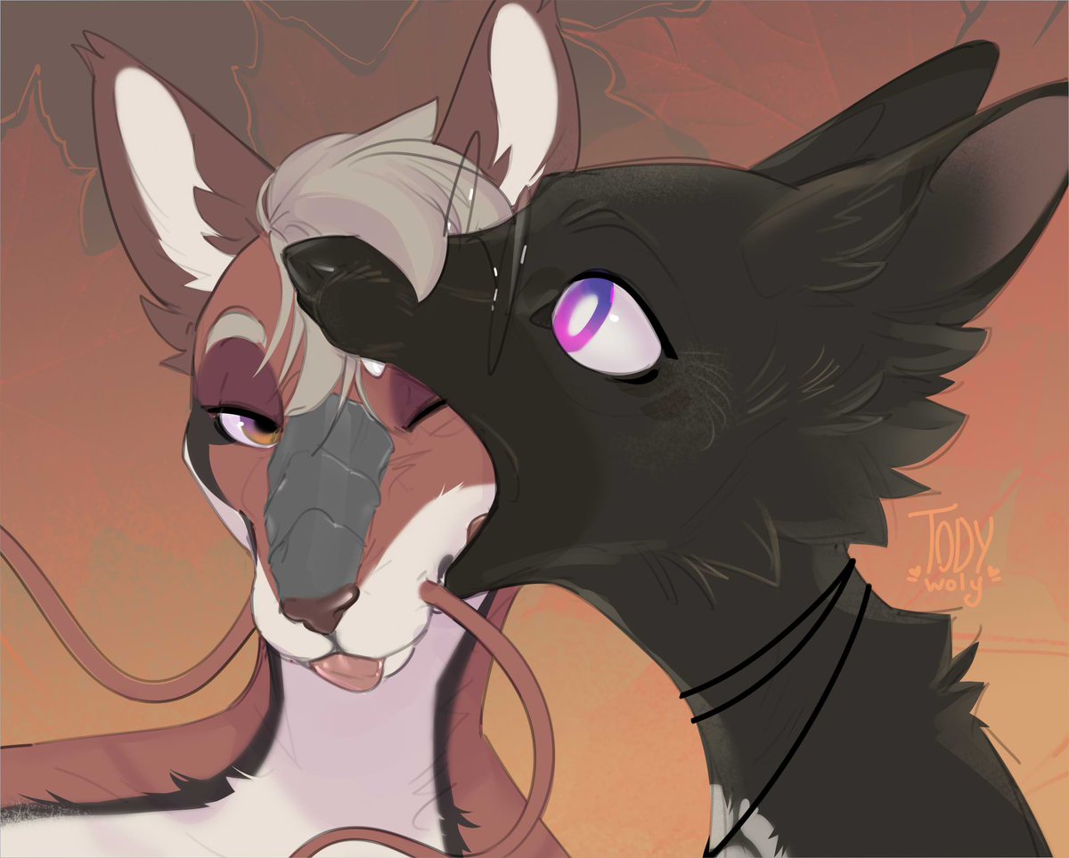 🤍TODY🤍 tweet media