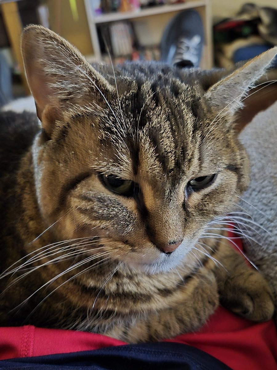 Barry Moss tweet media