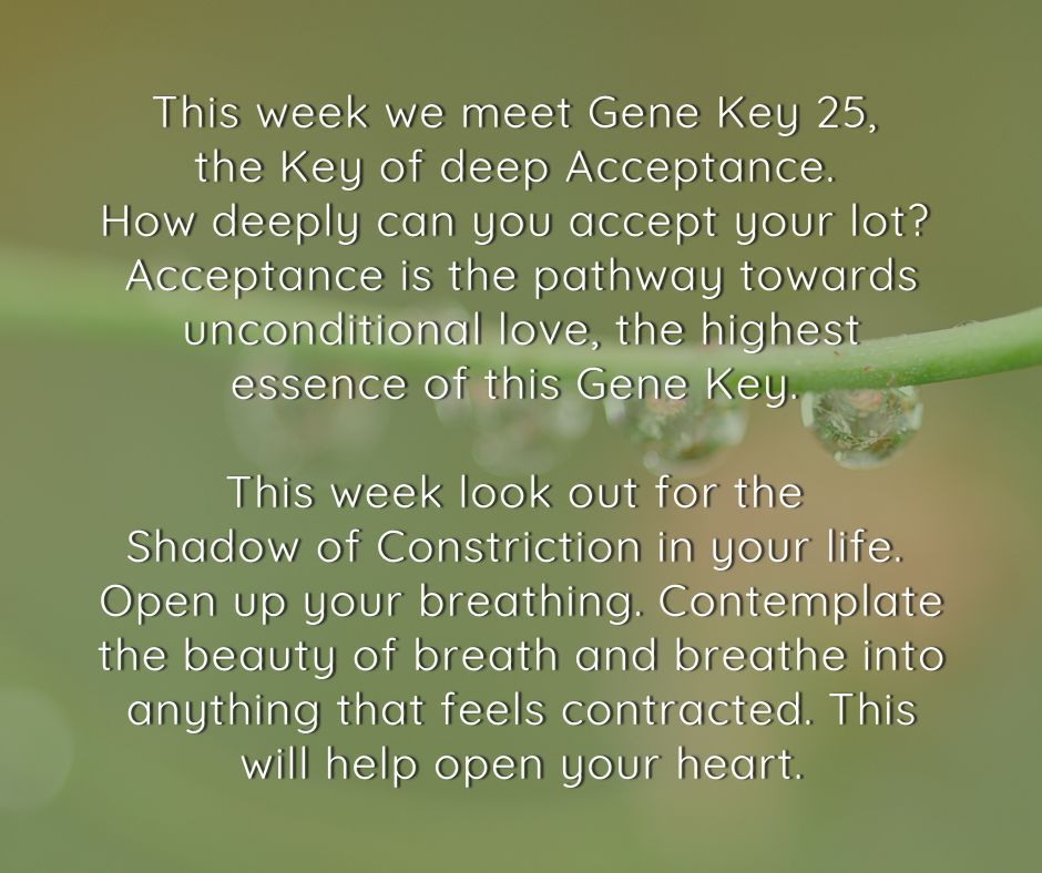 The Gene Keys tweet media