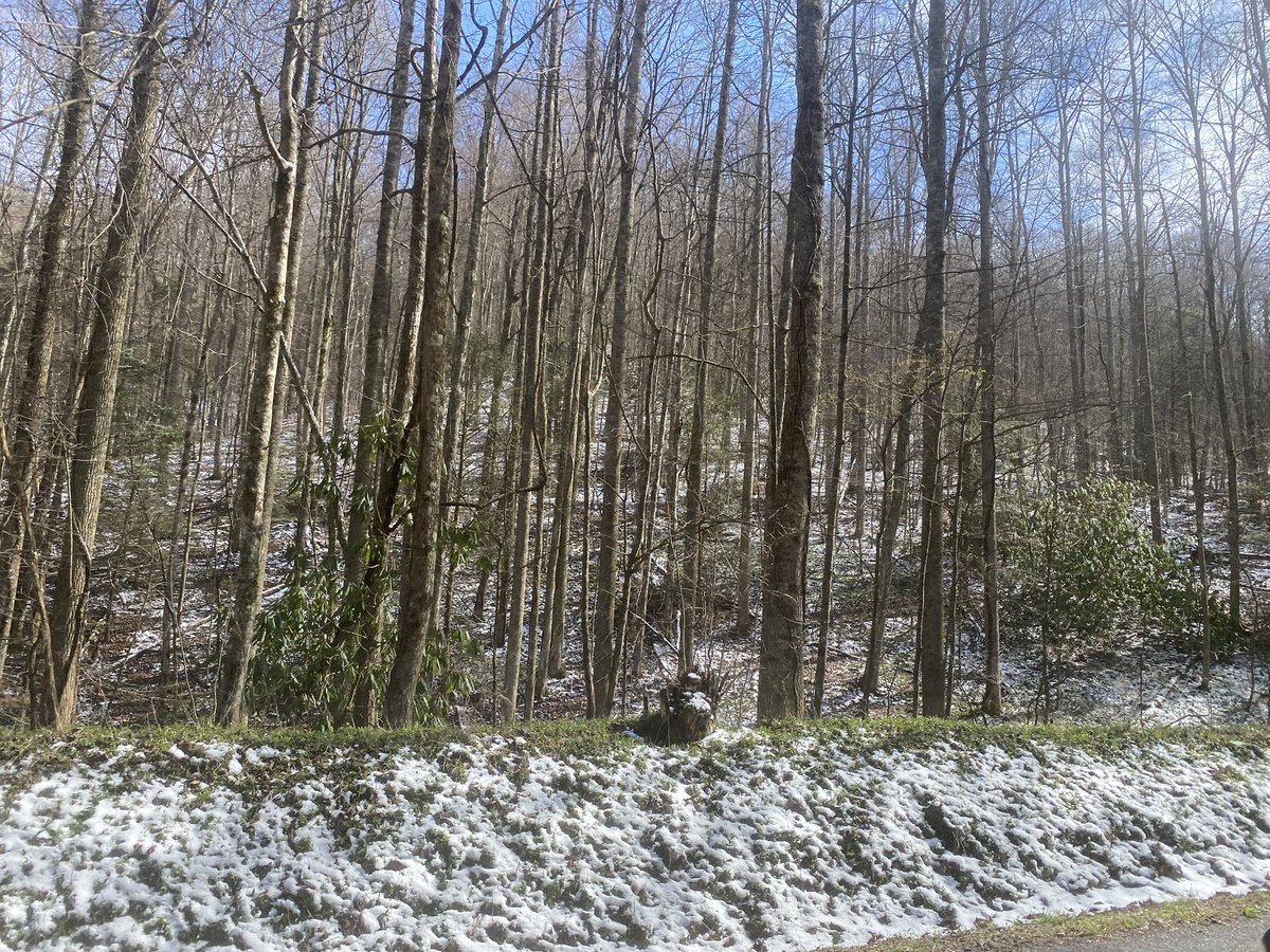 StormTrackerSacher tweet media