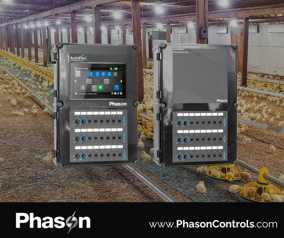 Phason Controls tweet media