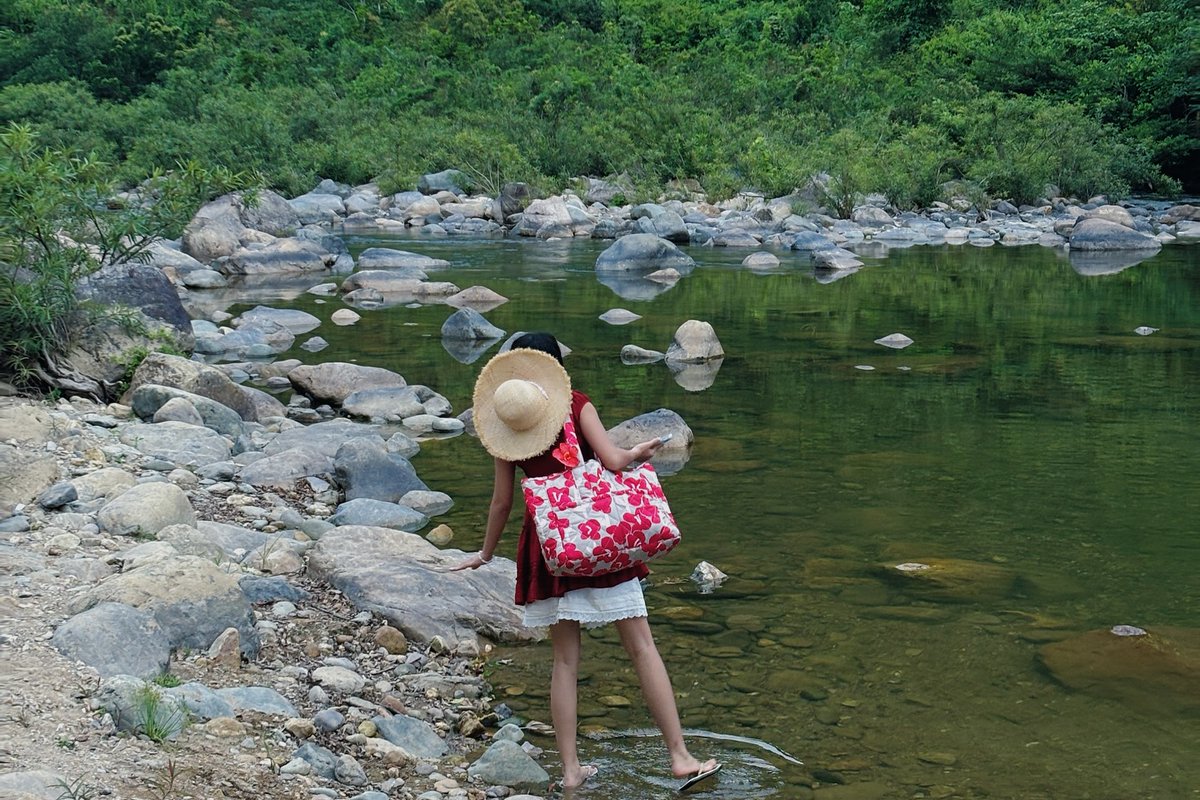 Taylor Thompsen tweet media