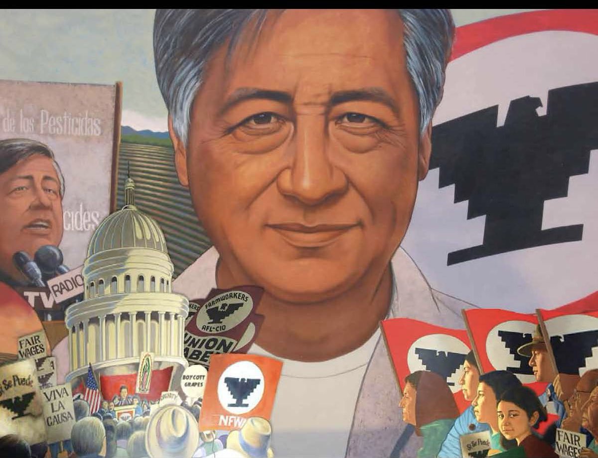 Andy Ngo tweet media