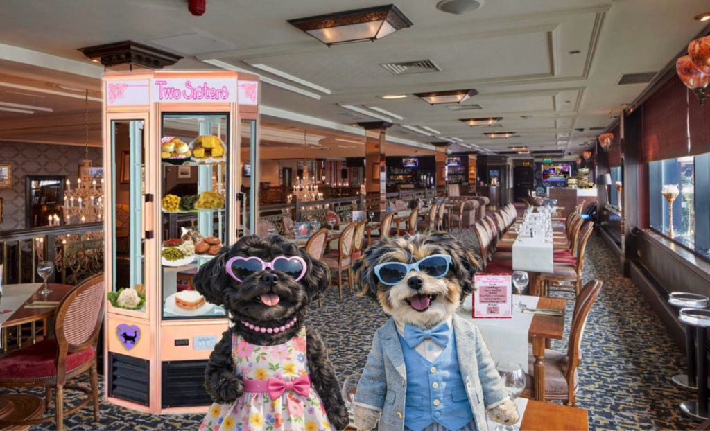 Foreveryorkiepups 🌻🧸🩶 tweet media