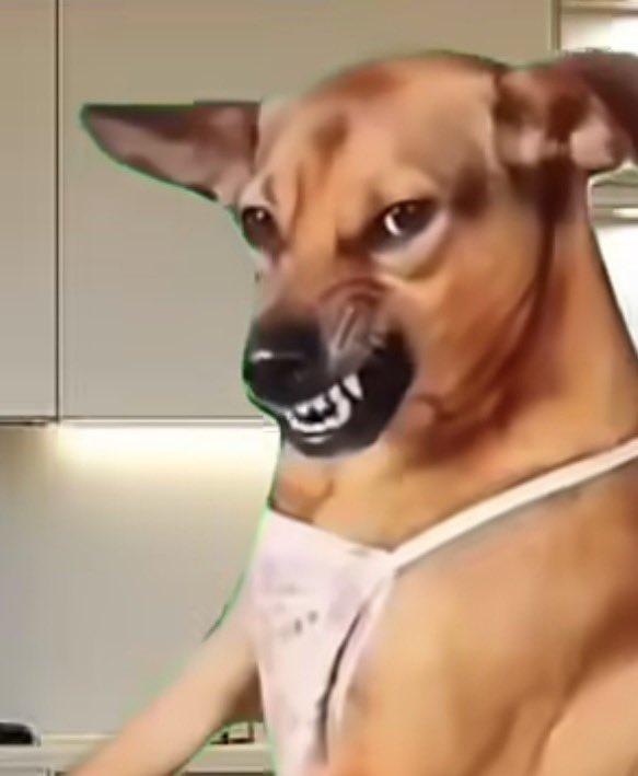 CZ4 🚀 tweet media