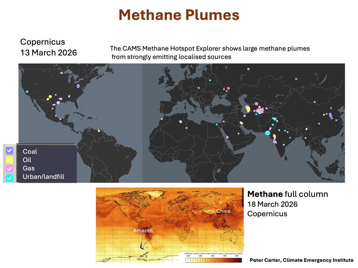 Peter D Carter tweet media