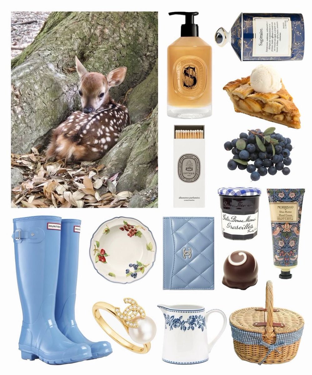 Elle Lookbook tweet media