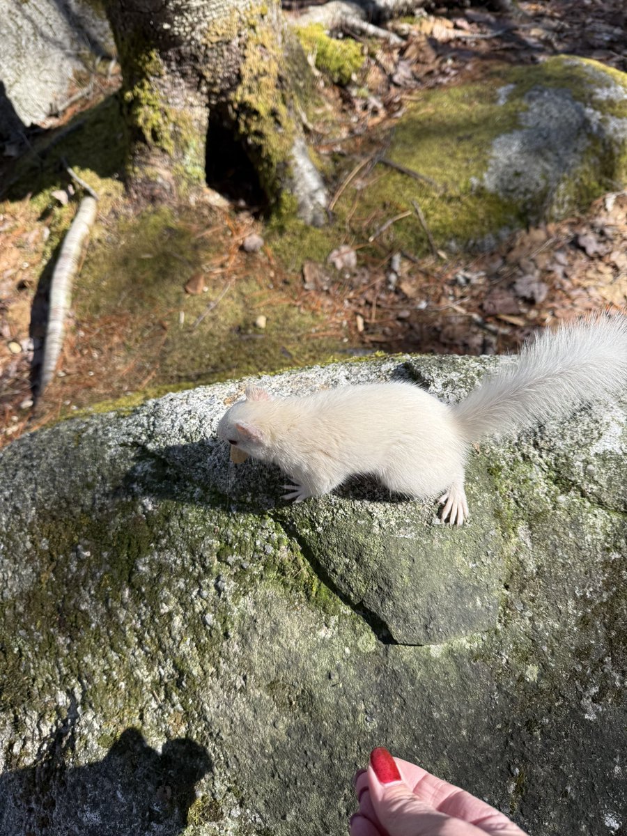 Janice Landry tweet media