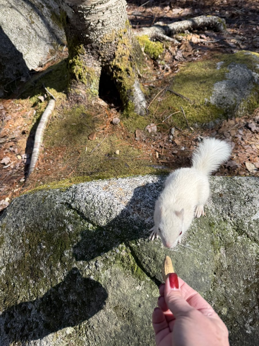 Janice Landry tweet media