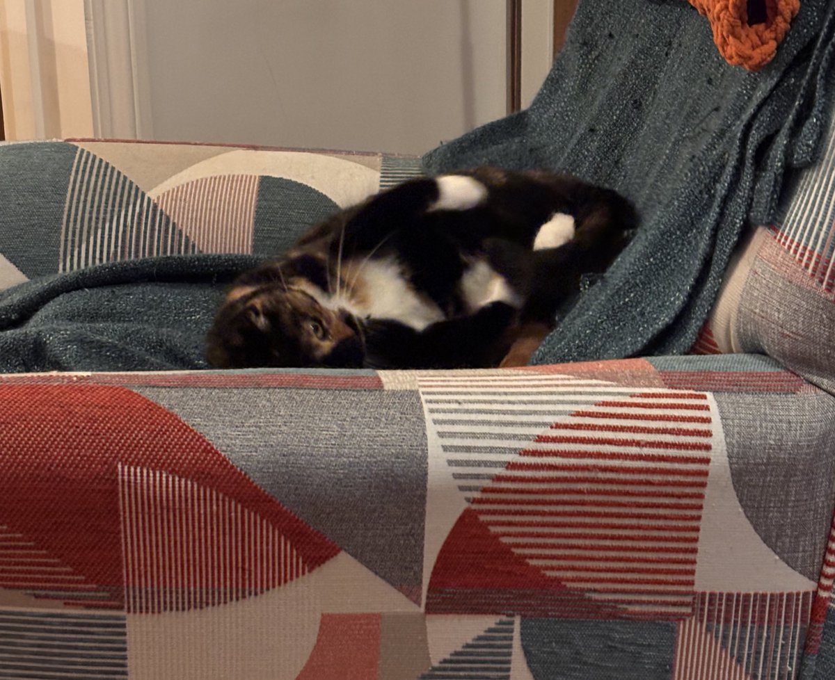 Professor Pingosaurus tweet media